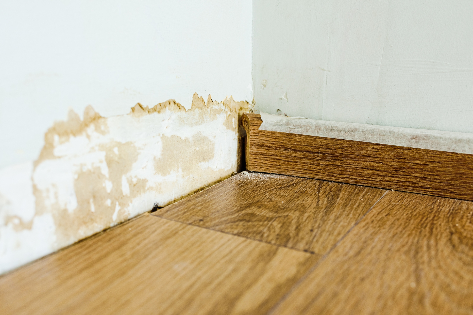 Comprehensive Moisture Solutions
