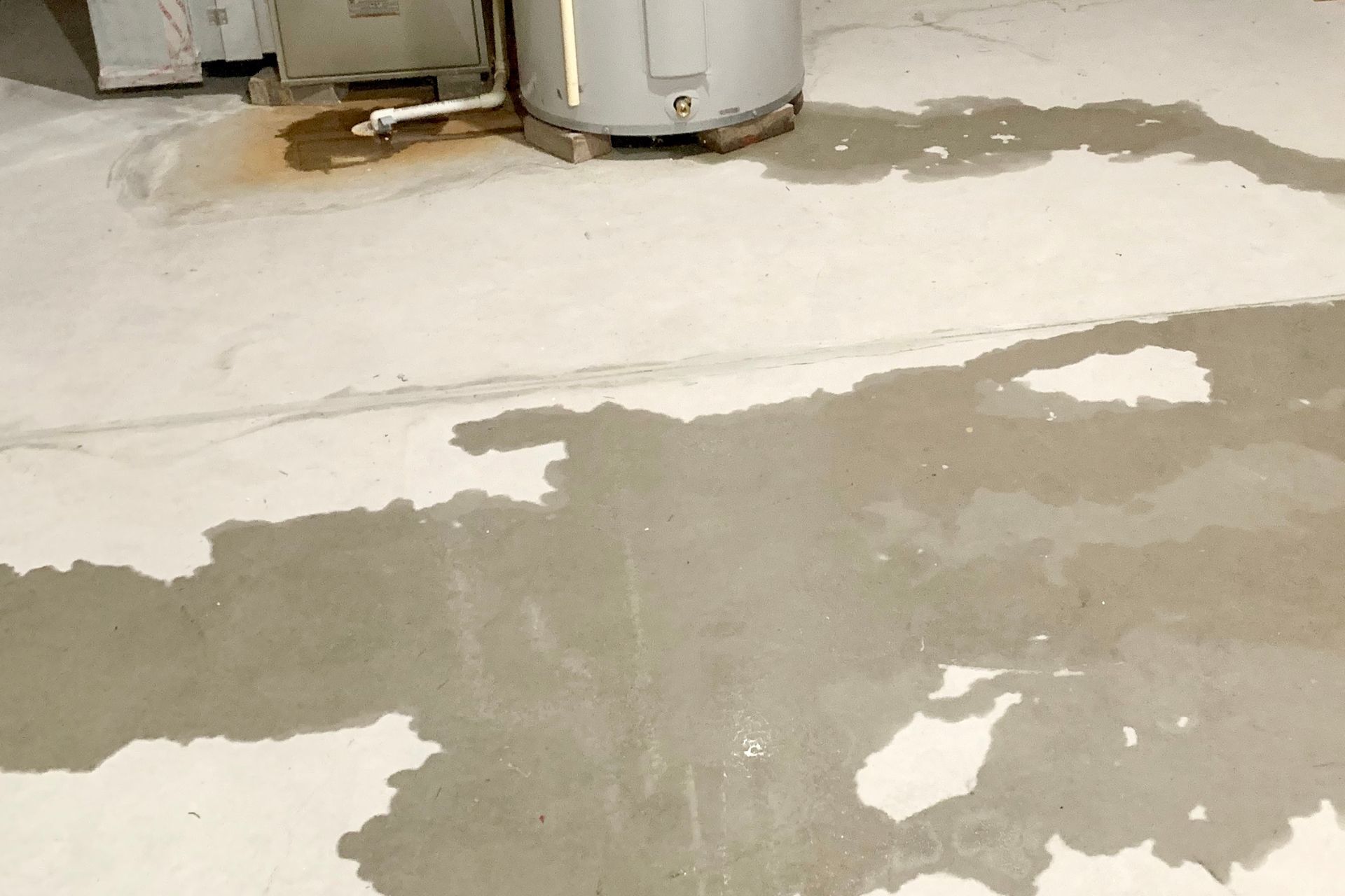 Dealing with a Damp, Musty Odor?